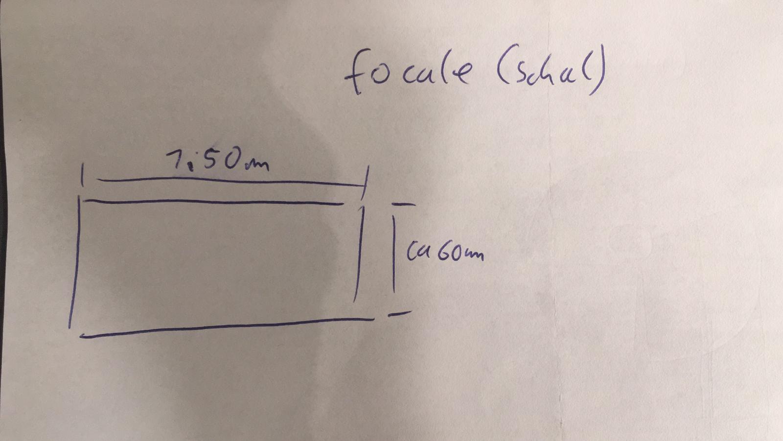 Nicos Anleitung für Focale